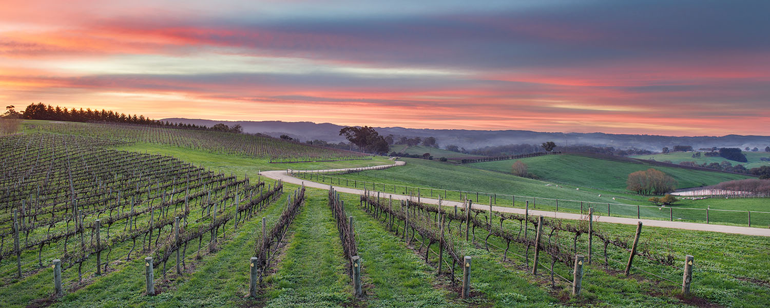 Adelaide Wine Cellars Opening Hours at Roy Delong blog